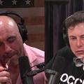 Joe Rogan i Elon Musk