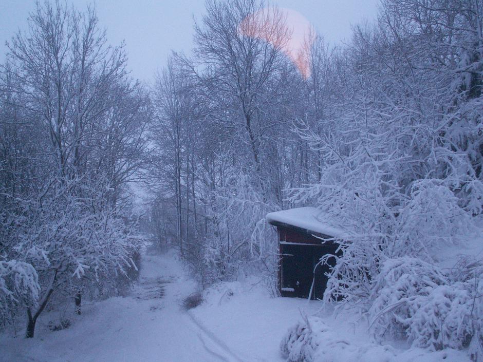  | Author: Wikimedia Commons