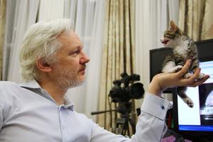 Julian Assange sa svojim kućnim ljubimcem u Veleposlanstvu Ekvadora gdje je zaštićen azilom