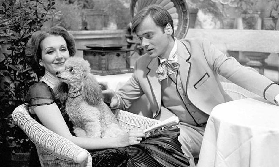 Velo misto | Author: Screenshot