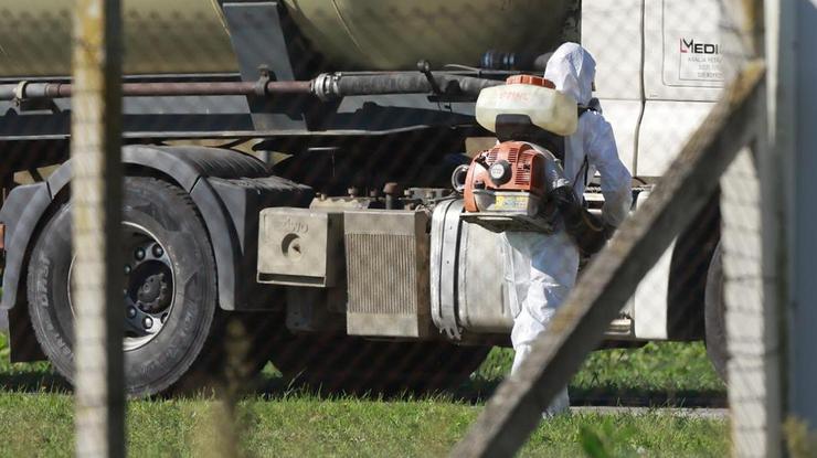 Sokolovac: Kreće eutanazija svinja, uvode se novi sigurnosni protokoli