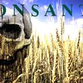 Monsanto, aktivistička antireklama