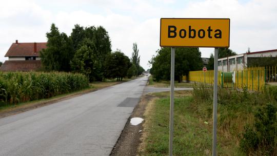 Bobota