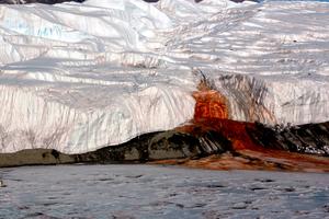 Krvavi slapovi Antarktike