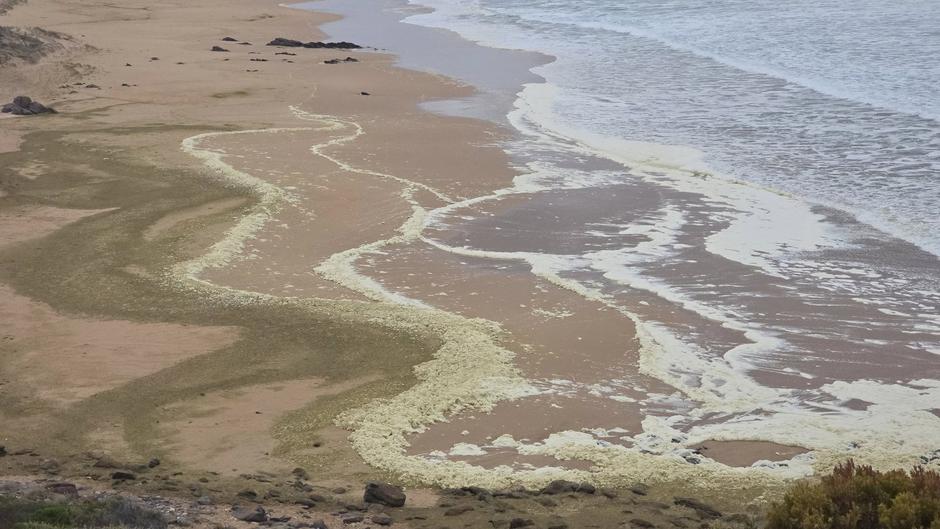 ‘Over 100’ surfers fall ill after disgusting foam blankets popular beaches | Author: Profimedia