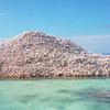 Groblje morskih školjki na Anegadi