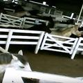 Snimke s vampirskih farmi konja
