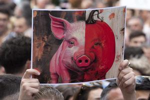 Protest and march in defense of the rule of law in Sofia