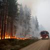 Veliki šumski požari u Švedskoj