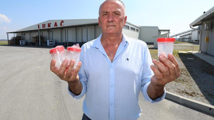 Ivanić Grad: Farma kokoši nesilica u vlasništvu obitelji Lukač