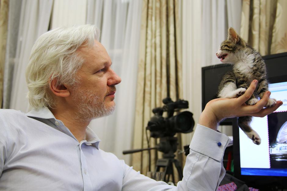 Julian Assange sa svojim kućnim ljubimcem u Veleposlanstvu Ekvadora gdje je zaštićen azilom | Author: Handout/REUTERS/PIXSELL