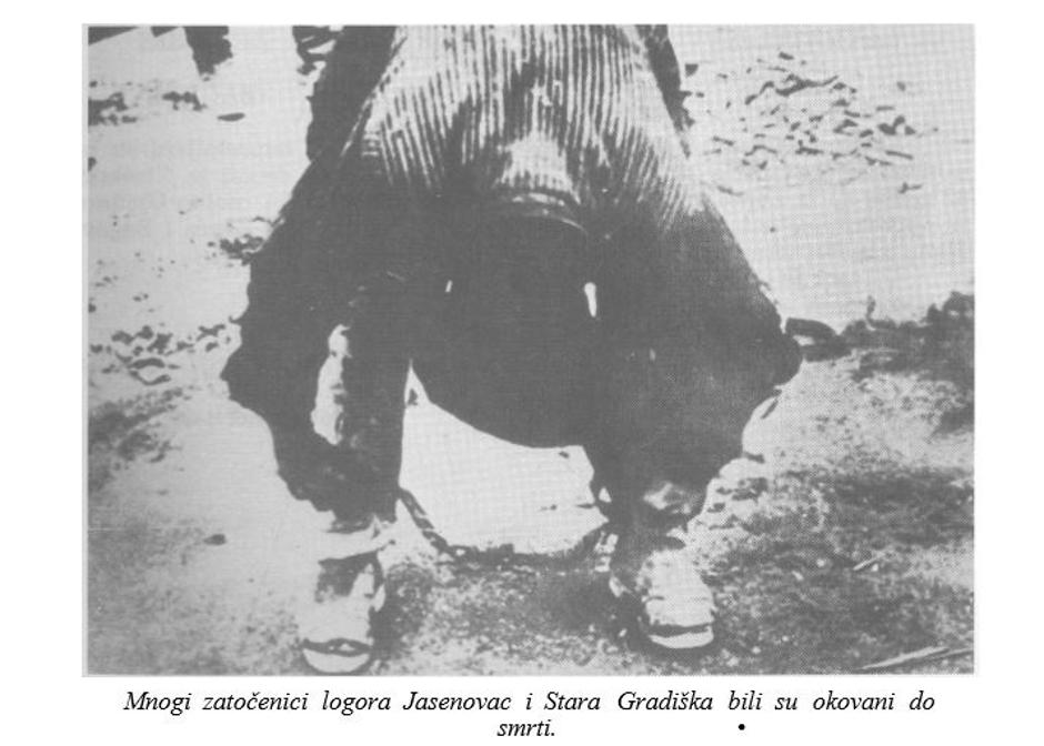 Logor Jasenovac | Author: screenshot/youtube