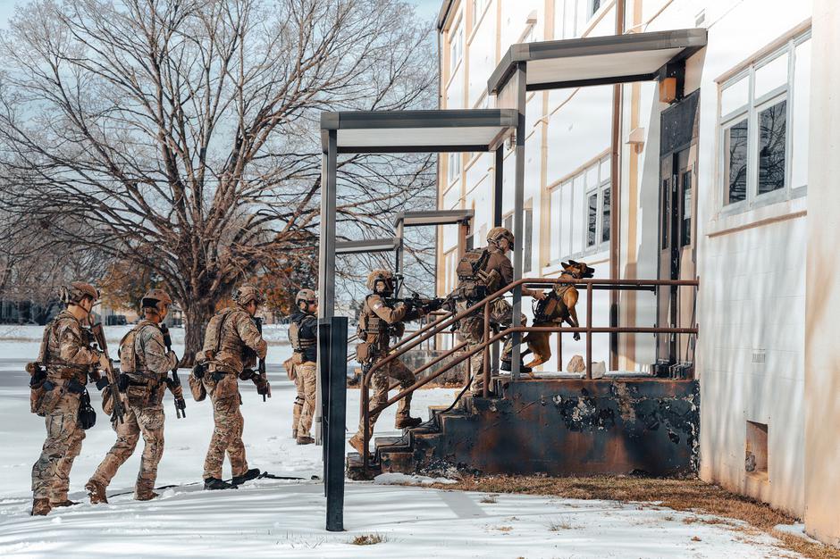 US Airborne conducts K-9 training | Author: Profimedia