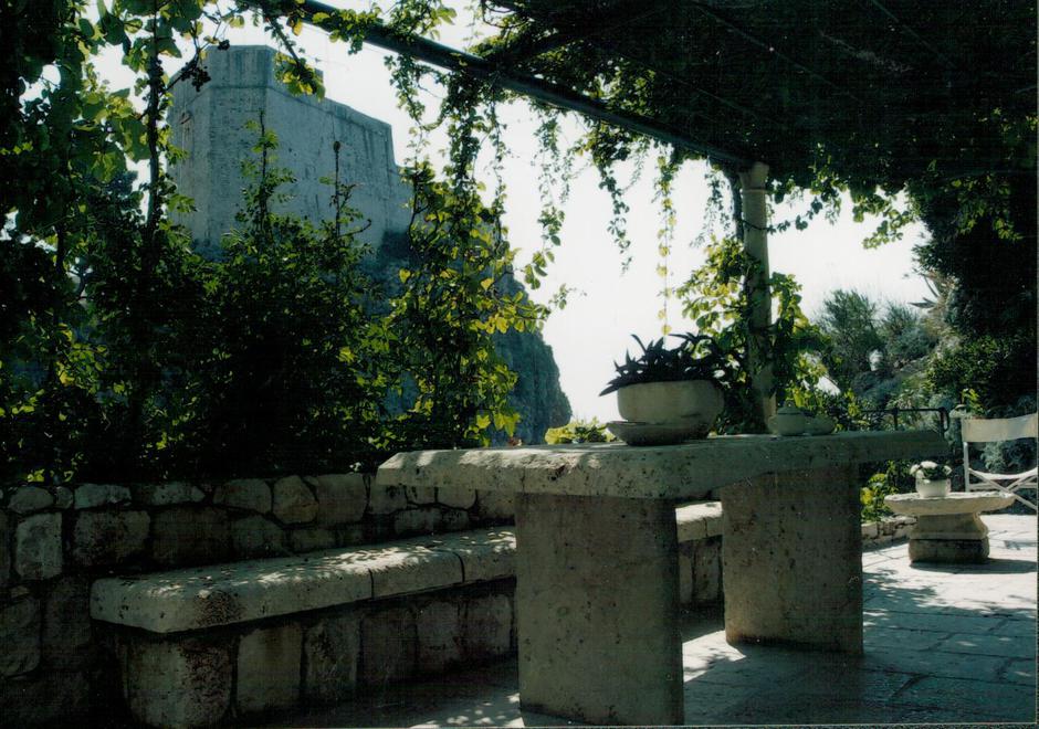  | Author: Život i Po: Jagoda Buić Privatno i javno