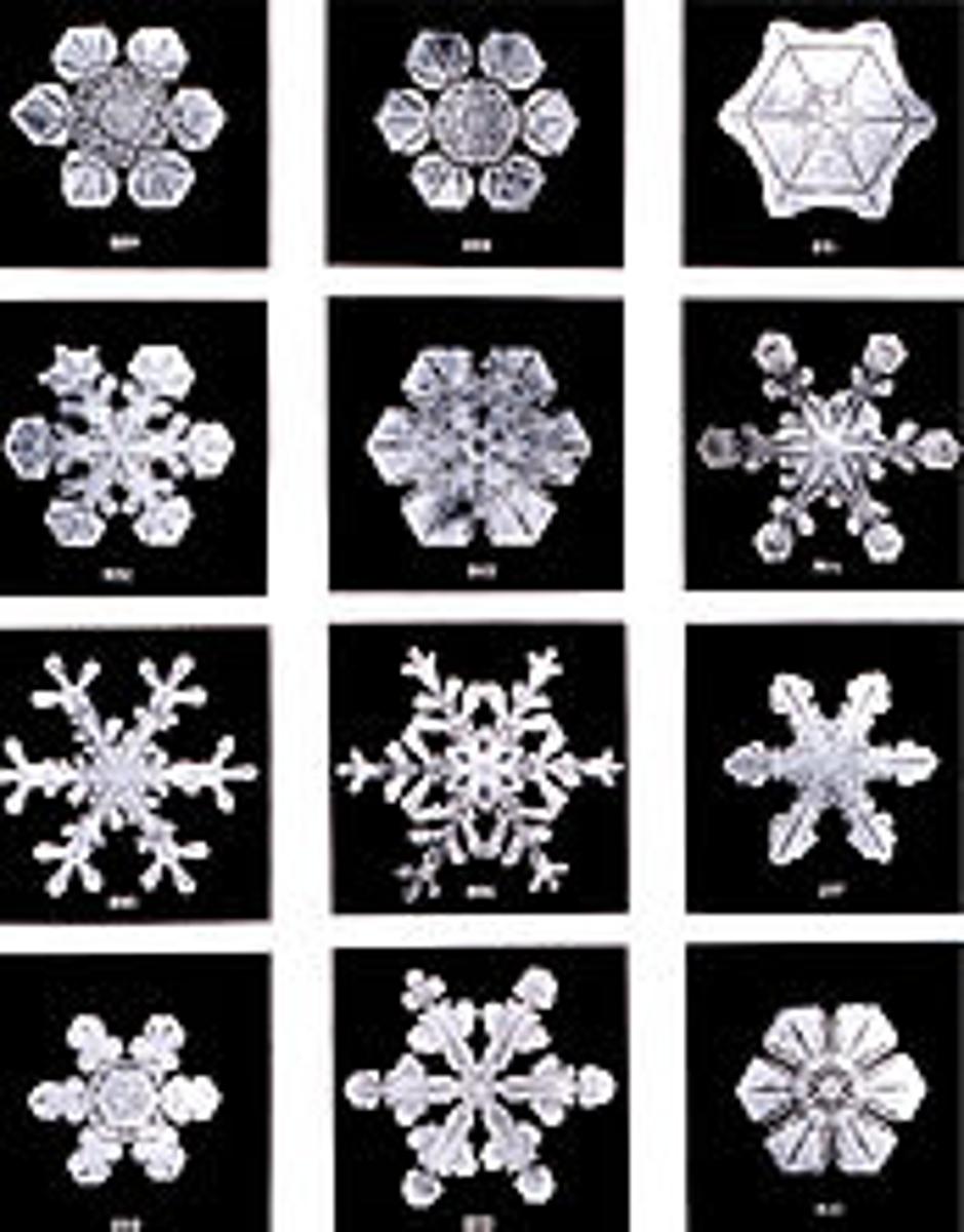 Oblici snježnih pahulja | Author: Wikimedia Commons